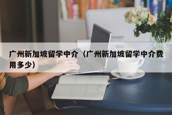 广州新加坡留学中介（广州新加坡留学中介费用多少）