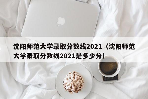 沈阳师范大学录取分数线2021（沈阳师范大学录取分数线2021是多少分）