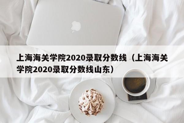 上海海关学院2020录取分数线（上海海关学院2020录取分数线山东）