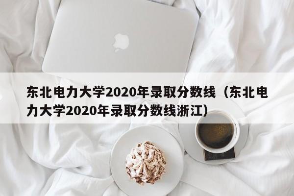 东北电力大学2020年录取分数线（东北电力大学2020年录取分数线浙江）