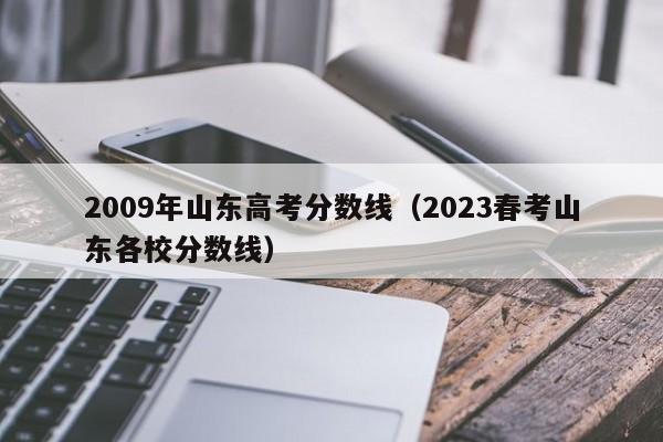 2009年山东高考分数线（2023春考山东各校分数线）