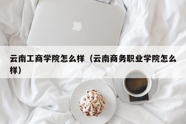 云南工商学院怎么样（云南商务职业学院怎么样）