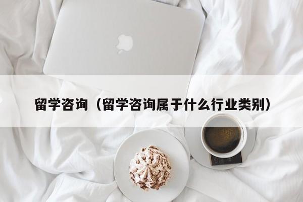 留学咨询（留学咨询属于什么行业类别）