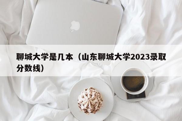 聊城大学是几本（山东聊城大学2023录取分数线）