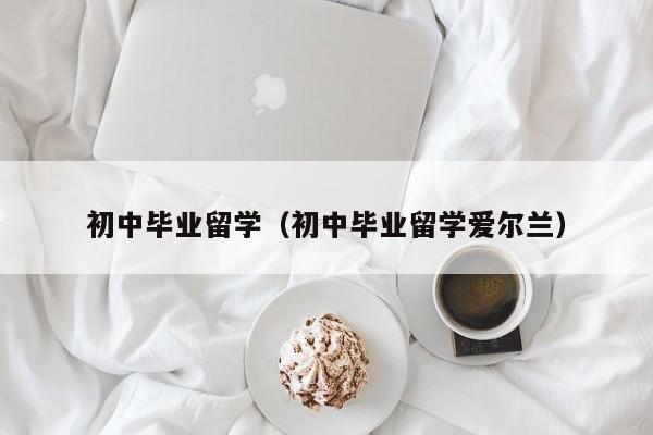 初中毕业留学（初中毕业留学爱尔兰）