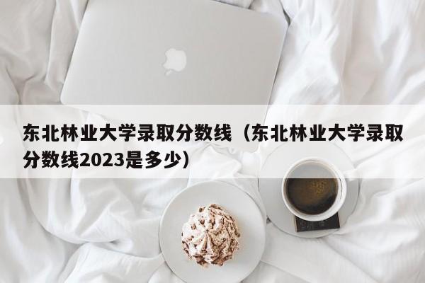 东北林业大学录取分数线（东北林业大学录取分数线2023是多少）