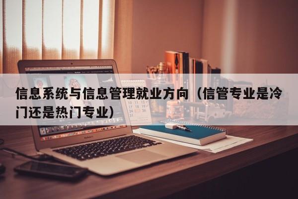 信息系统与信息管理就业方向（信管专业是冷门还是热门专业）