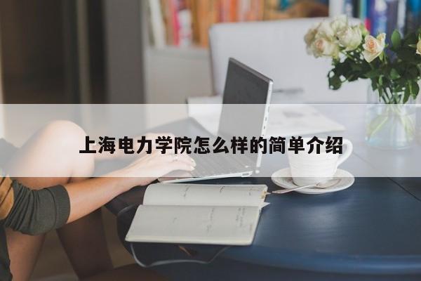 上海电力学院怎么样的简单介绍