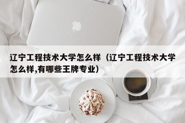 辽宁工程技术大学怎么样（辽宁工程技术大学怎么样,有哪些王牌专业）