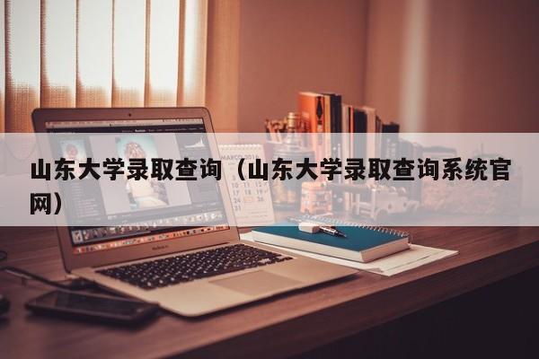 山东大学录取查询（山东大学录取查询系统官网）