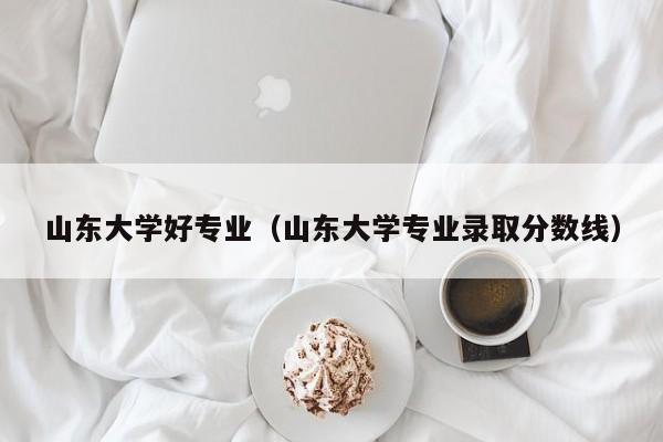 山东大学好专业（山东大学专业录取分数线）