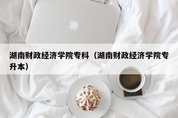 湖南财政经济学院专科（湖南财政经济学院专升本）