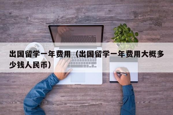 出国留学一年费用（出国留学一年费用大概多少钱人民币）