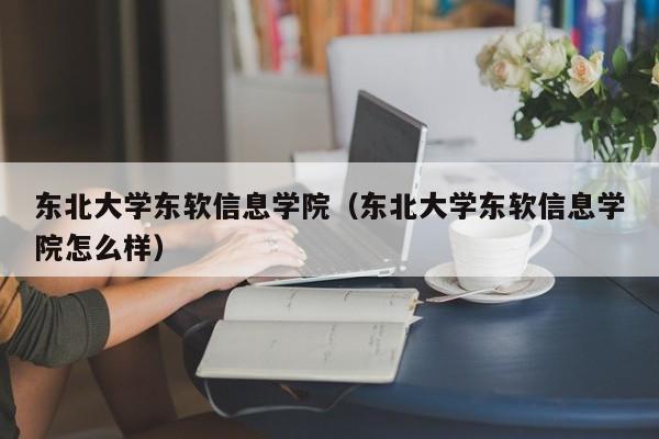 东北大学东软信息学院（东北大学东软信息学院怎么样）