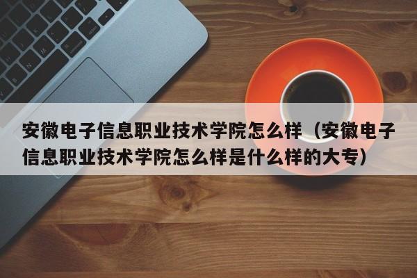 安徽电子信息职业技术学院怎么样（安徽电子信息职业技术学院怎么样是什么样的大专）