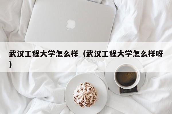 武汉工程大学怎么样（武汉工程大学怎么样呀）