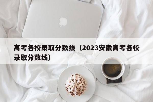 高考各校录取分数线（2023安徽高考各校录取分数线）