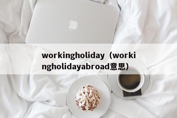 workingholiday（workingholidayabroad意思）