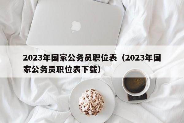 2023年国家公务员职位表（2023年国家公务员职位表下载）