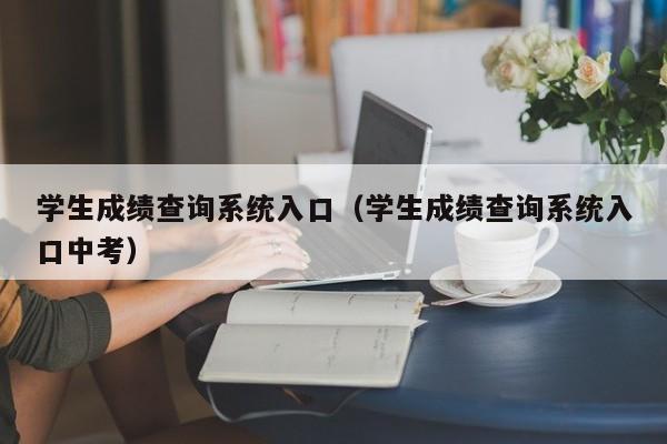 学生成绩查询系统入口（学生成绩查询系统入口中考）