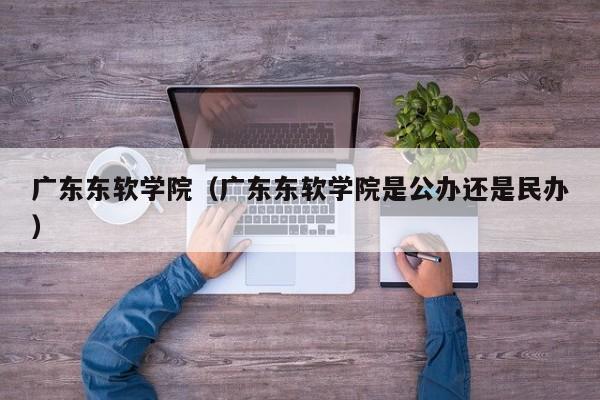 广东东软学院（广东东软学院是公办还是民办）