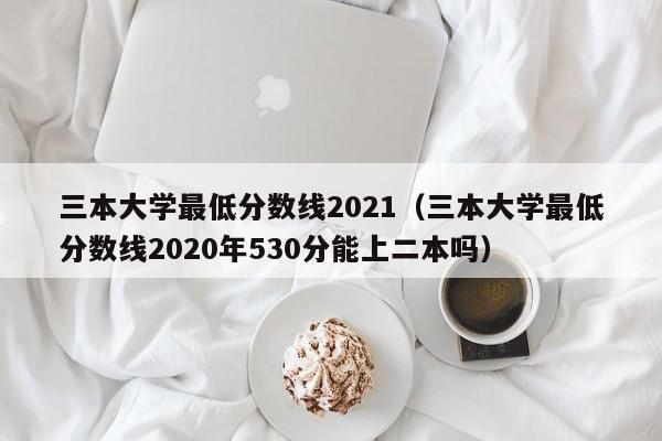 三本大学最低分数线2021（三本大学最低分数线2020年530分能上二本吗）