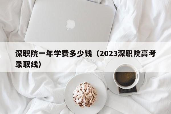 深职院一年学费多少钱（2023深职院高考录取线）