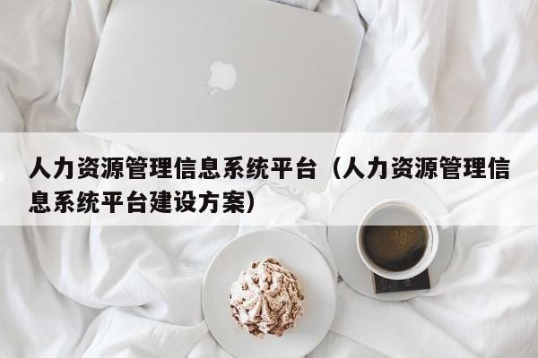 人力资源管理信息系统平台（人力资源管理信息系统平台建设方案）