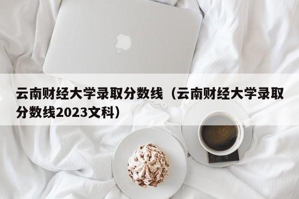 云南财经大学录取分数线（云南财经大学录取分数线2023文科）